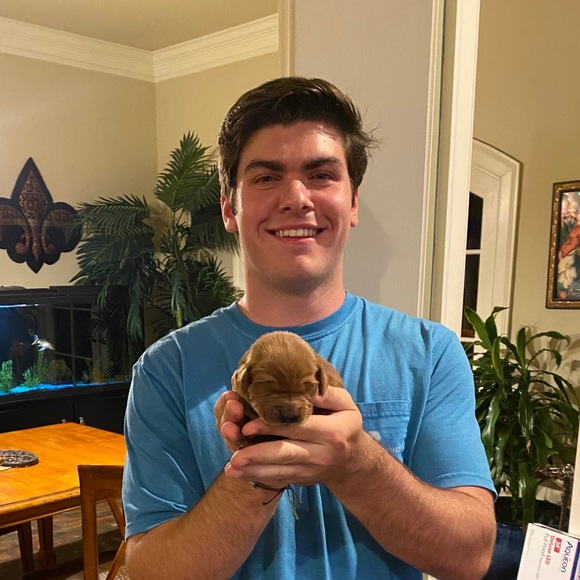 Meet your Posher, Matthew - Picture 1 of 1